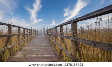 long wooden boardwalk streching far across a lush green wetlands below a cloudy sunset