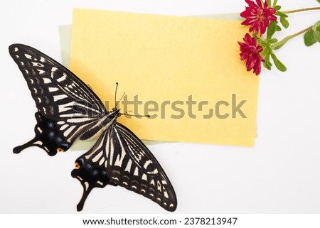 Mockup of yellow autumn image title frame with red aster flowers and swallowtail butterflies on white background