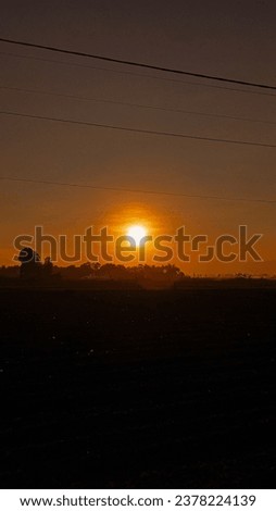 a silhouetted sunset with an orange-colored sky and a round sun