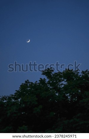half moon with trees in foreground horror feel background