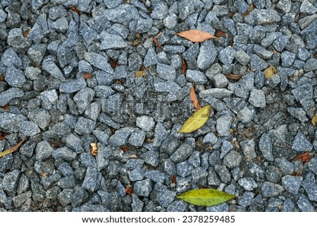 a picture of gravel and fall leaf