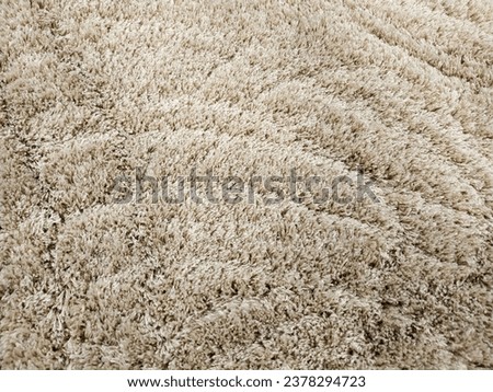A fluffy beautiful carpet. Copy space. Flat lay, top view