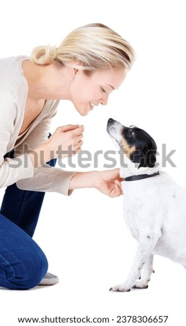 Woman, teaching and studio with jack russell dog for silence, learning and care by white background. Girl, animal or pet puppy with command, training and loyalty on floor for domestic education Royalty-Free Stock Photo #2378306657