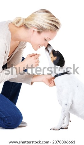 Woman, kiss and studio with jack russell dog for adoption, learning or care by white background. Girl, animal or pet puppy with bonding, training and kindness for loyalty, floor or domestic education Royalty-Free Stock Photo #2378306661