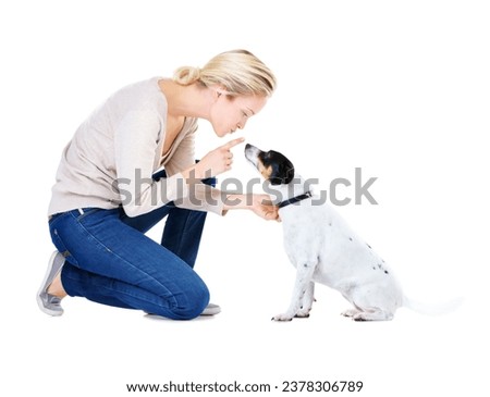 Woman, training and studio with dog or jack russell for silence, learning and care by white background. Girl, animal or pet puppy with teaching, discipline and loyalty on floor for domestic education Royalty-Free Stock Photo #2378306789