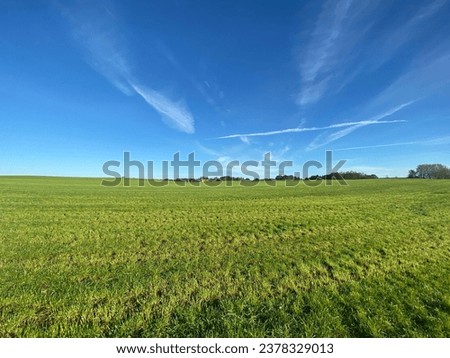 Beautiful aView of Denmark Countryside with the grass, trees blue sky and shining sun Royalty-Free Stock Photo #2378329013