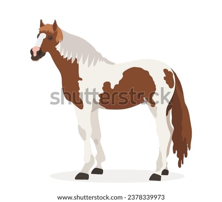 Cute cartoon Horse. Vector funny animals illustration isolated on white background.