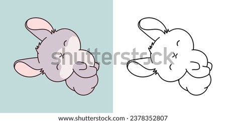 Clipart Isolated Baby Chinchilla Multicolored and Black and White. Cute Cartoon Baby Pet. Cute Vector Illustration of a Kawaii Animal for Prints for Clothes, Stickers, Baby Shower. 
