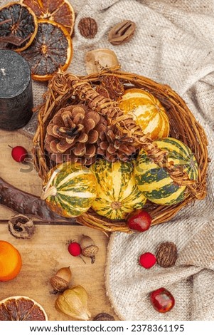 Autumn cozy composition. Pumpkins in a basket, candles, cones, seeds. Traditional fall decor, seasonal good mood. Flat lay, wooden background, top view