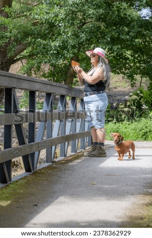 Mature woman standing with brown dachshund on bridge taking photos with cell phone, green tree in blurred background, hat and sunglasses, sunny day in Epen, Gulpen-Wittem, South Limburg, Netherlands