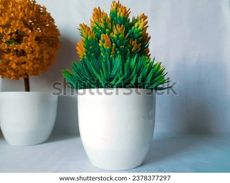 This is a miniature flower displayed in the living room