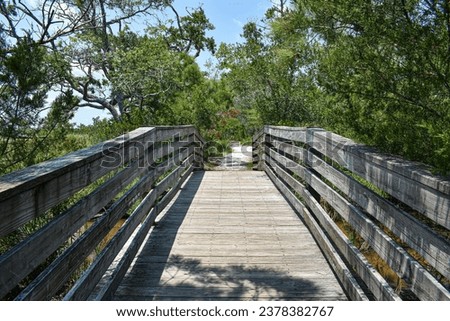 Wooden bridge leading to a sand path with trees on both sides, Carolina Beach State Park in North Carolina summer 2021 Royalty-Free Stock Photo #2378382767
