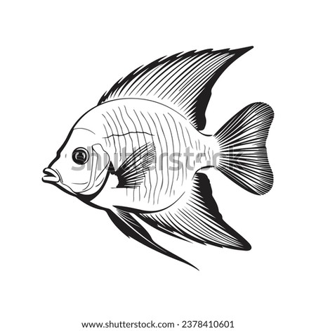 Aquarium Fish Vector, Cute fish vector, Tropical fish