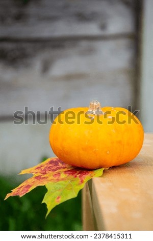 Festive pumpkin for Halloween. Atmospheric pumpkin for Halloween