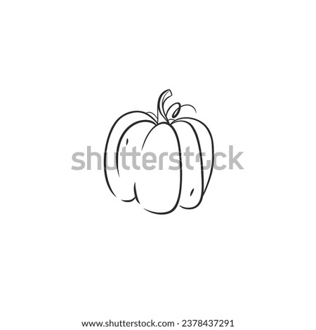 Hand drawn vector abstract graphic,black, line art contour autumn vegetable, harvest thanksgiving and Halloween pumpkin outline isolated. Outline autumn decoration design concept. Autumn symbol icon.