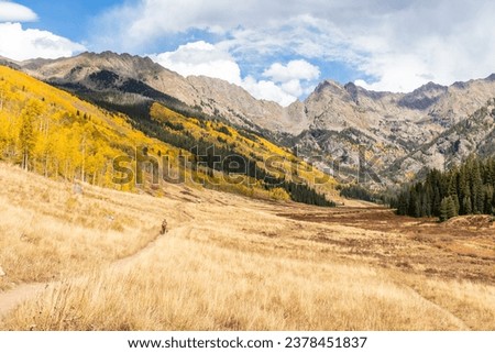 A beautiful picture of a hiking trail in the Rocky Mountain area during fall season.