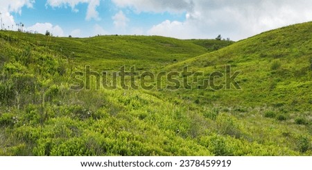 carpathian nature scenery with grassy hills. green mountain landscape in summertime Royalty-Free Stock Photo #2378459919