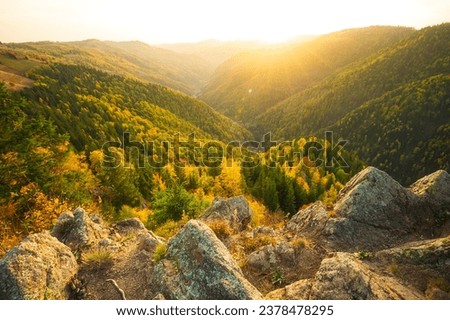 Forest landscape from Apuseni Mountains, Romania, Europe, Carphatian Mountains Royalty-Free Stock Photo #2378478295