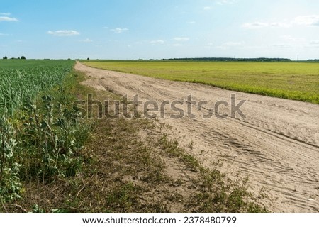 A dry sandy road passes through a field under the scorching sun and clouds. Dirt road outside the city in the village. Arid climate on earth. Climate change and its consequences.