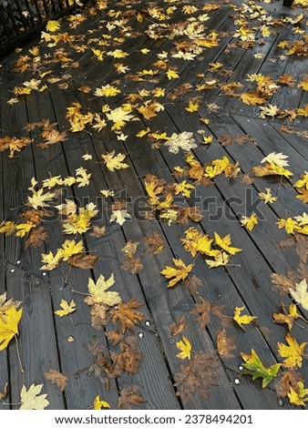 Fall leaves on wood plank background 