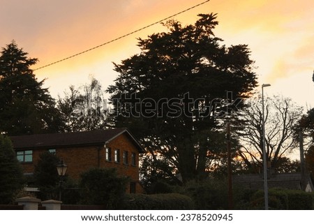 A photo of beautiful landscape views with orange skies and trees in the foreground. 