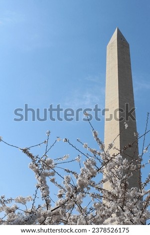 The Washington D.C. Monuments in Spring