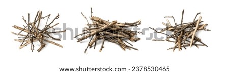 Branches pile isolated. Dry twigs pile ready for campfire, sticks, boughs heap for a fire, dry thin branches, brushwood Royalty-Free Stock Photo #2378530465