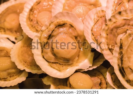picture with a stack of fresh scallops in a display