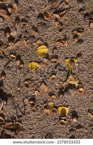 Fallen autumn leaves on the ground. Colorful autumn leaves background