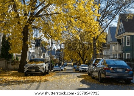 Autumn Splendor on Brighton's residential street, Massachusetts, USA Royalty-Free Stock Photo #2378549915