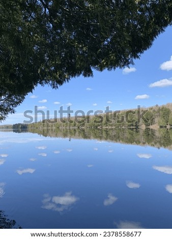 Calm lake on a summer day