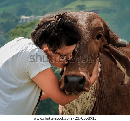 Young woman cuddling and showing affection to a cow by kissing the farm animal on his head. Real life image of true friendship between humans and animals. Vegan Concept and blurred background Royalty-Free Stock Photo #2378558915