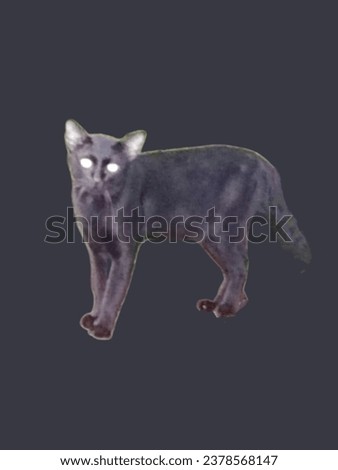 Northern Thai black cat breed (Ancient Thai people believed that Black cats are cats that protect from danger from ghosts and demons.) Royalty-Free Stock Photo #2378568147