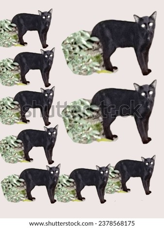 Northern Thai black cat breed (Ancient Thai people believed that Black cats are cats that protect from danger from ghosts and demons.) Royalty-Free Stock Photo #2378568175