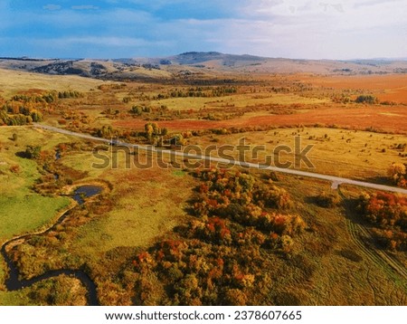 Aerial view of the autumn landscape with hills and bright yellow colors of falling leaves. Drone shooting of scenic autumn backgrounds.