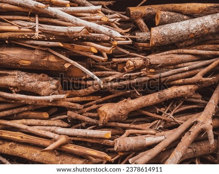 Pile of wood for winter stock