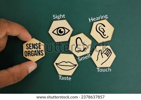 hexagons with five Sense organs icons namely sight, hearing, smell, teste and touch. basic 5 human senses Royalty-Free Stock Photo #2378637857