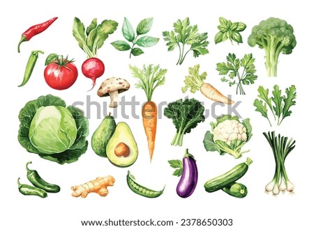 Watercolor painted collection of vegetables. Hand drawn fresh food design elements isolated on white background. Royalty-Free Stock Photo #2378650303