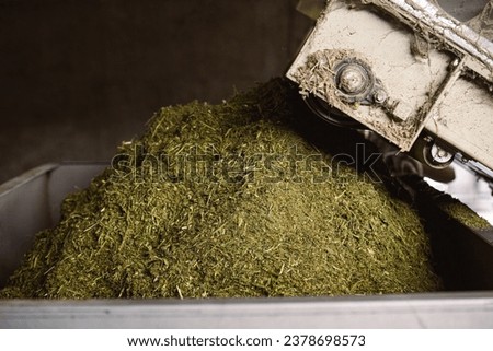 Preparation of herbage grass on the farm Royalty-Free Stock Photo #2378698573