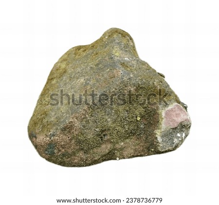 a green and pink rock with a pinkish green moss on it.