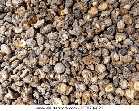 dried dried nuts on the ground.