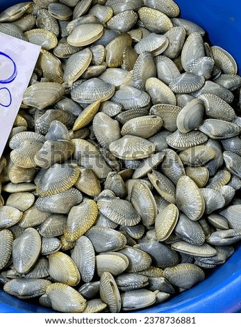 fresh clams at the fish market in venice.