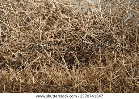 a stack of hay in a barn.