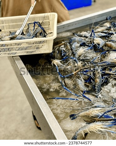 a basket full of crabs being washed.