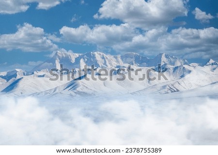 Fog and green forest in the mountains, natural landscape of cloud and mist peaks.