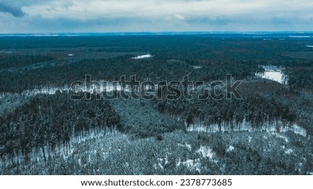 Beautiful forest in the winter.   Aerial view of the pine forest in the winter. Top view to the forest. Dramatic look of a winter forest. Winter season.