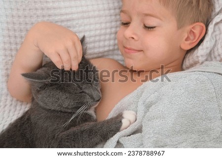 Portrait of Funny Little Boy Cuddling Gray Kitten Lying in a Bed. Pet and Children Concept. Young Cat and Happy Smiling Kid Sleeping Together at Home. Kitty Lovely Resting. Love to Animals. Close Up. Royalty-Free Stock Photo #2378788967
