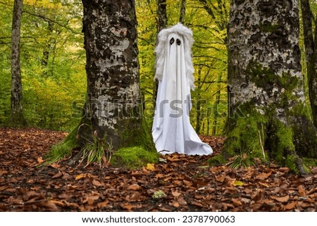 Ghost in the autumn mountain forest