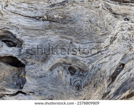 white tree wood texture beach background Royalty-Free Stock Photo #2378809809