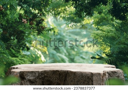 Wood tabletop podium floor in outdoors tropical garden forest blurred green leaf plant nature background.Natural product placement pedestal stand display,jungle paradise concept. Royalty-Free Stock Photo #2378837377